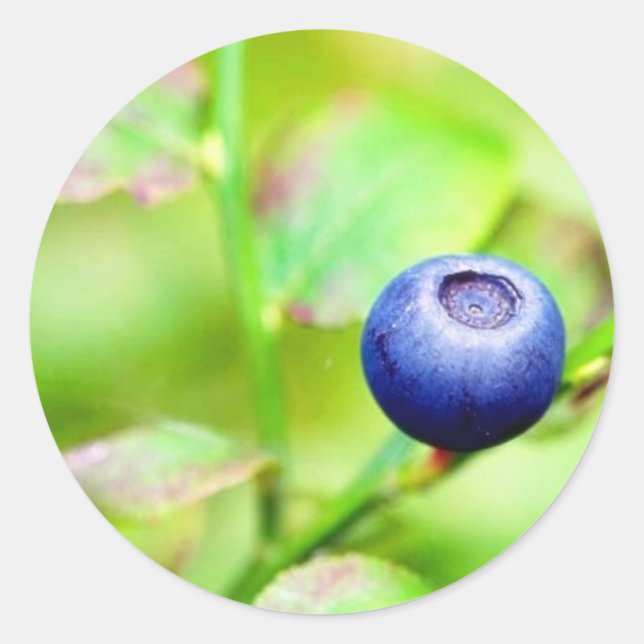 Pegatina Redonda Blueberry (Anverso)