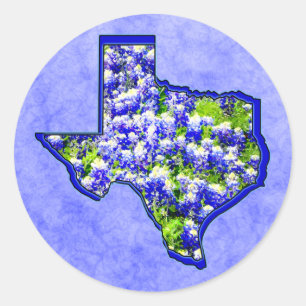 PEGATINA REDONDA BLUEBONNETS DE TEJAS