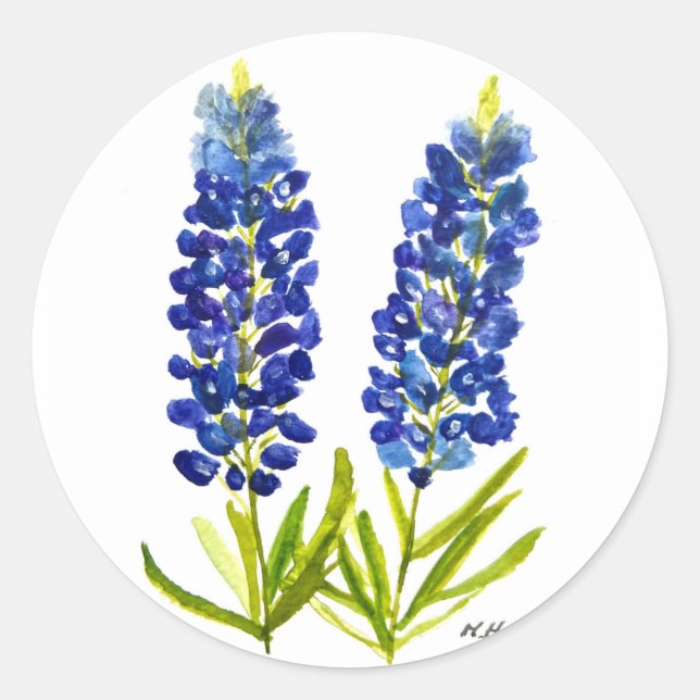 Pegatina Redonda Bluebonnets Texas State Flowe Lupine Watercolor (Anverso)