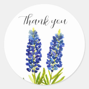 Pegatina Redonda Bluebonnets Texas State Flowe Lupine Watercolor