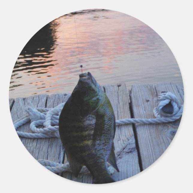Pegatina Redonda Bluegill al atardecer Lago Arrowhead (Anverso)