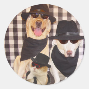 Pegatina Redonda Blues Labs y Guay Cat