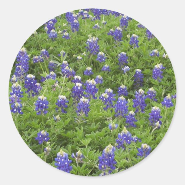 Pegatina Redonda Blues Power (Anverso)