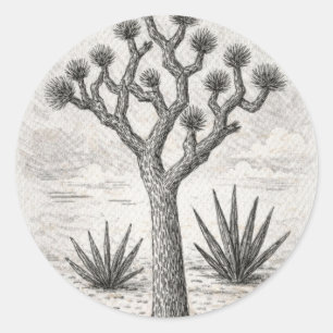 Pegatina Redonda boceto de árbol de josué   arte de boceto del desi