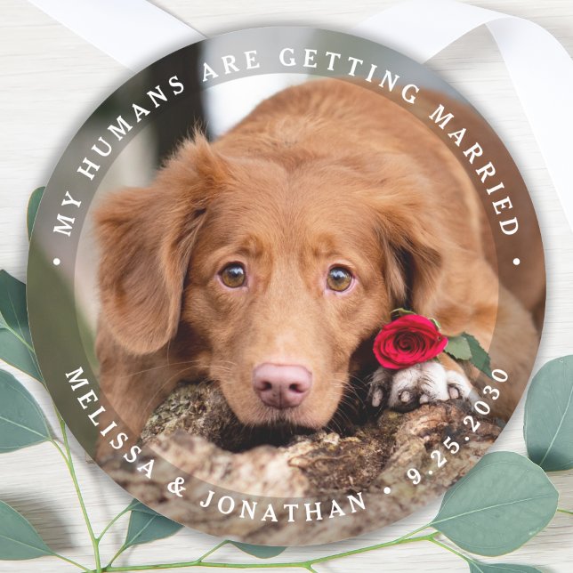 Pegatina Redonda Boda de perro de compromiso de fotografía Mascota  (Subido por el creador)