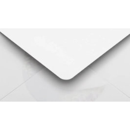 Pegatina Redonda Boda Gracias Moda Agua Plantas Suculentas