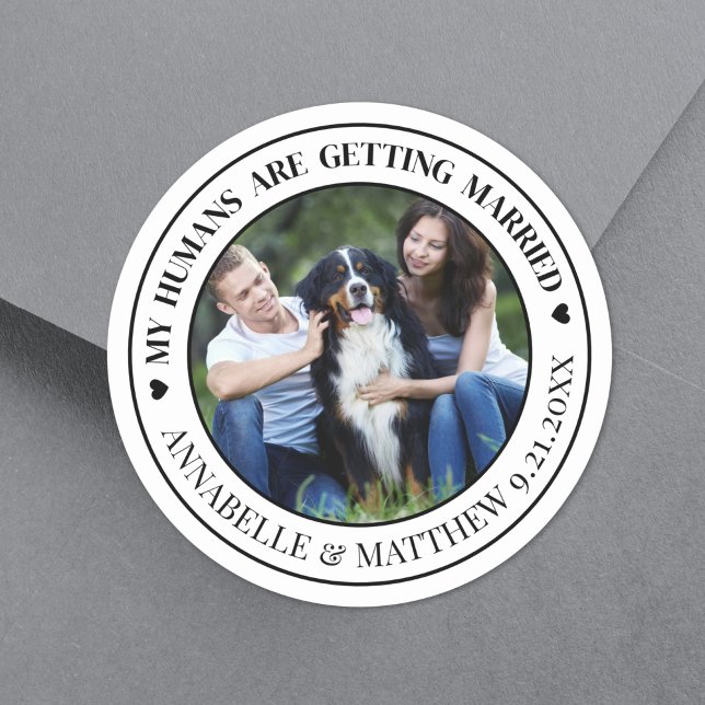 Pegatina Redonda Boda Mascota de fotografía de perro salva la fecha (Dog Photo Pet Wedding Save The Date Classic Round Sticker)