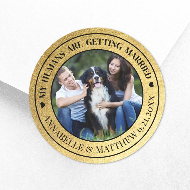 Pegatina Redonda Boda Mascota de fotografía dorada Salve la fecha (Dog Photo Pet Gold Wedding Save The Date Classic Round Sticker)