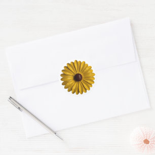Pegatina Redonda Boda Retro Daisy Flower Spring Garden