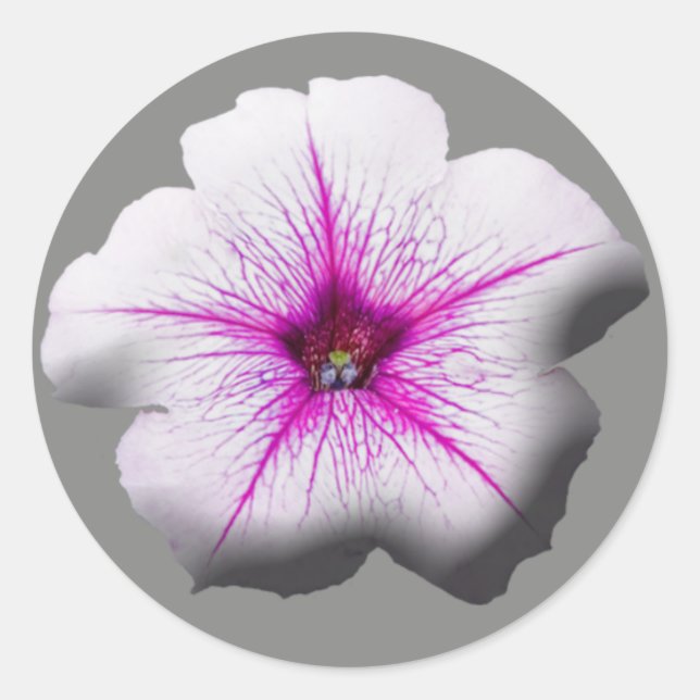 Pegatina Redonda Bodas pegatinas Petunia Floral (Anverso)