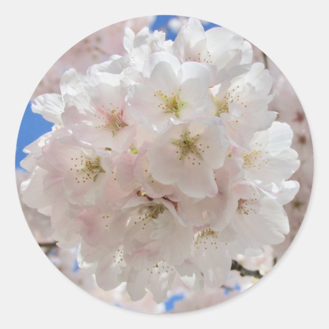 Pegatina Redonda Bolas de flores rosadas. (Anverso)