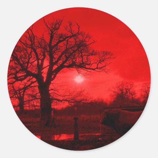 PEGATINA REDONDA BOLSAS (Anverso)