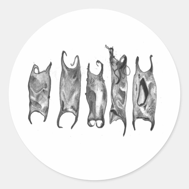 Pegatina Redonda bolsos para demonios de stanthos (Anverso)