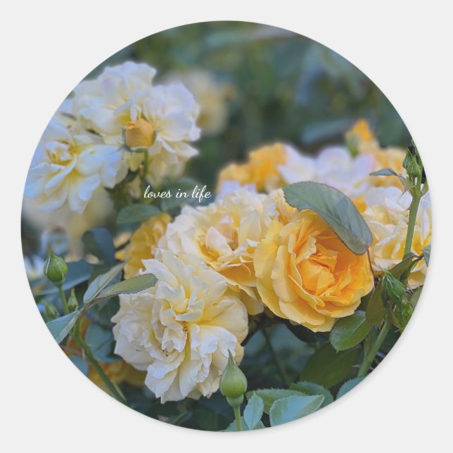 Pegatina Redonda Bonitos manojos de rosas amarillas (Anverso)