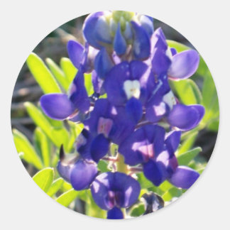 Pegatina Redonda Bonnet azul