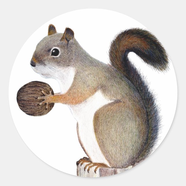 Pegatina Redonda Boomer Squirrel (Anverso)
