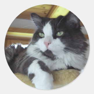 Pegatina Redonda Bordador