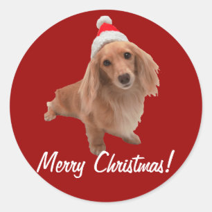 Pegatina Redonda Bordador “perro basset” la navidad