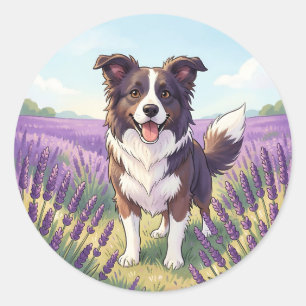 Pegatina Redonda Border Collie Feliz Campo de Lavanda