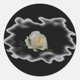 Pegatina Redonda Bordes quemados de rosa blanca