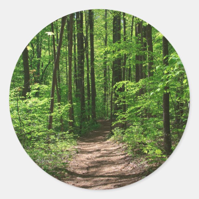 Pegatina Redonda Bosque bajo la luz del sol (Anverso)