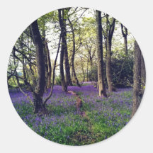 Bosque Bluebells Floral elegante Belleza