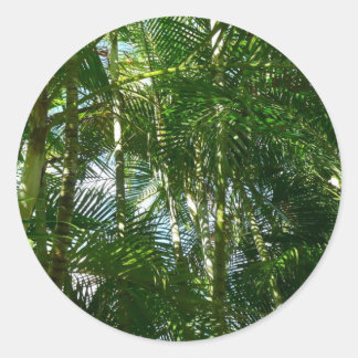 Pegatina Redonda Bosque de palmeras Naturaleza tropical