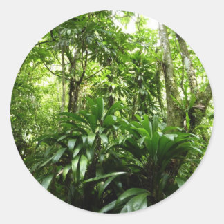 Pegatina Redonda Bosque lluvioso dominicano I Naturaleza tropical v