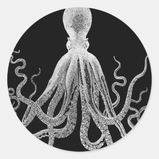 Pegatina Redonda bosquejo del pulpo