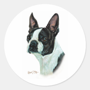 Pegatina Redonda Boston Terrier