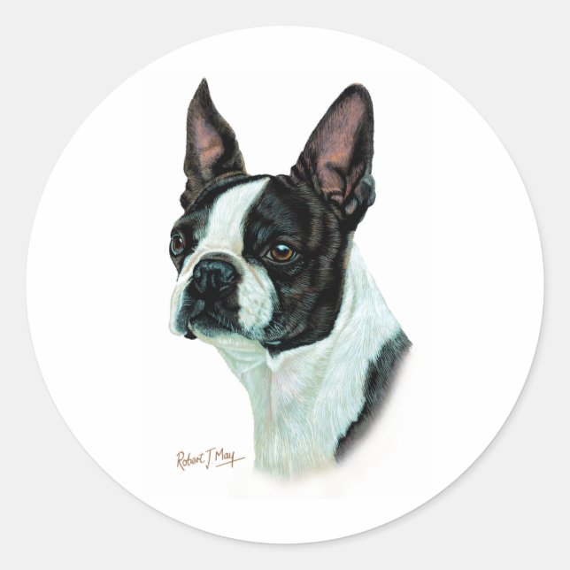 Pegatina Redonda Boston Terrier (Anverso)
