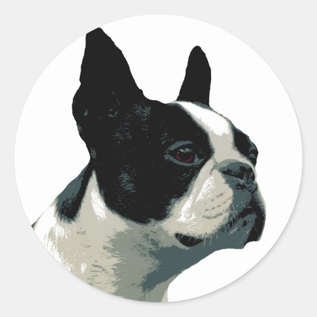 Pegatina Redonda Boston Terrier (Anverso)