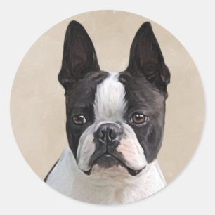 Pegatina Redonda Boston Terrier