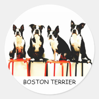 PEGATINA REDONDA BOSTON TERRIER
