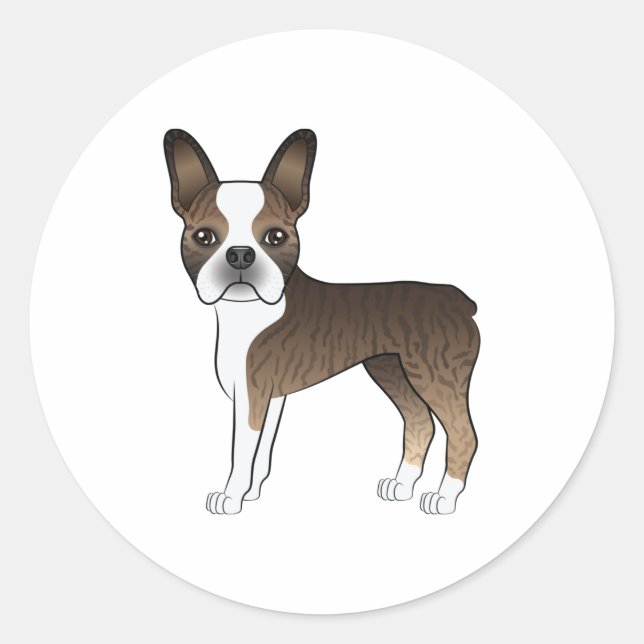 Pegatina Redonda Boston Terrier atigrado y blanco perro de dibujos  (Anverso)