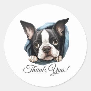 Pegatina Redonda Boston Terrier Dog Gracias
