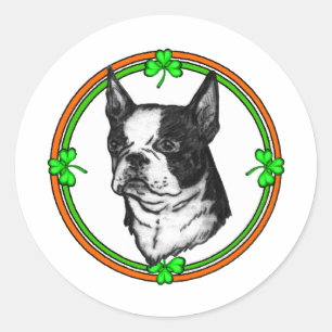 Pegatina Redonda Boston Terrier St Patrick's Day