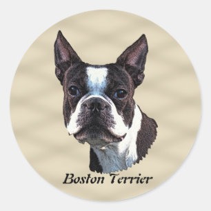 Pegatina Redonda Boston Terrier v3