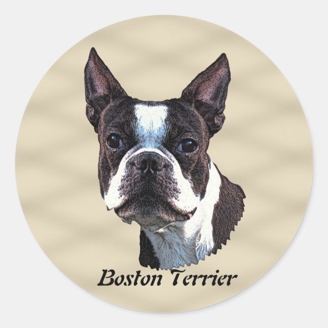 Pegatina Redonda Boston Terrier v3 (Anverso)