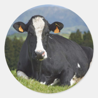 Pegatina Redonda Bota de Holstein