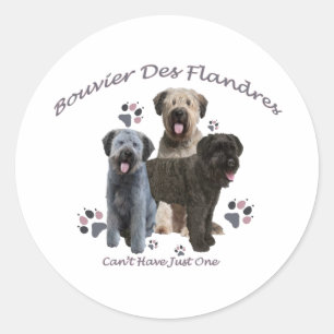 Pegatina Redonda Bouvier Des Flandres no puede tener uno solo