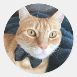 Pegatina Redonda Bow tie cat