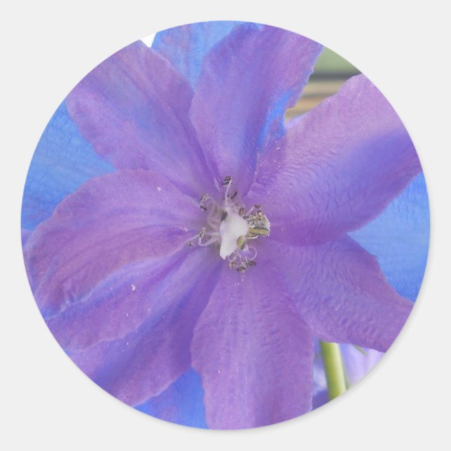 Pegatina Redonda Bowen (Anverso)