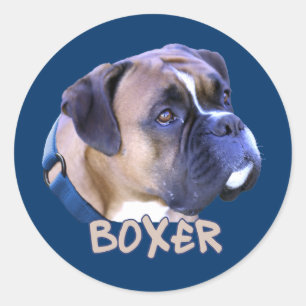 Pegatina Redonda Boxer Dog