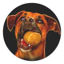 Boxer Dog Arte Moderno