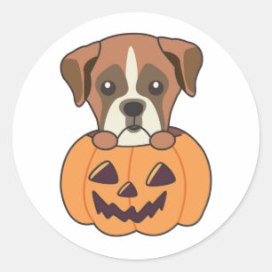 Pegatina Redonda Boxer En Calabaza Perros Cute Feliz Halloween