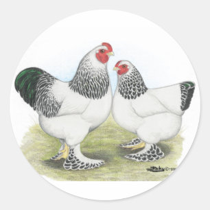 Pegatina Redonda Brahma:  Light2