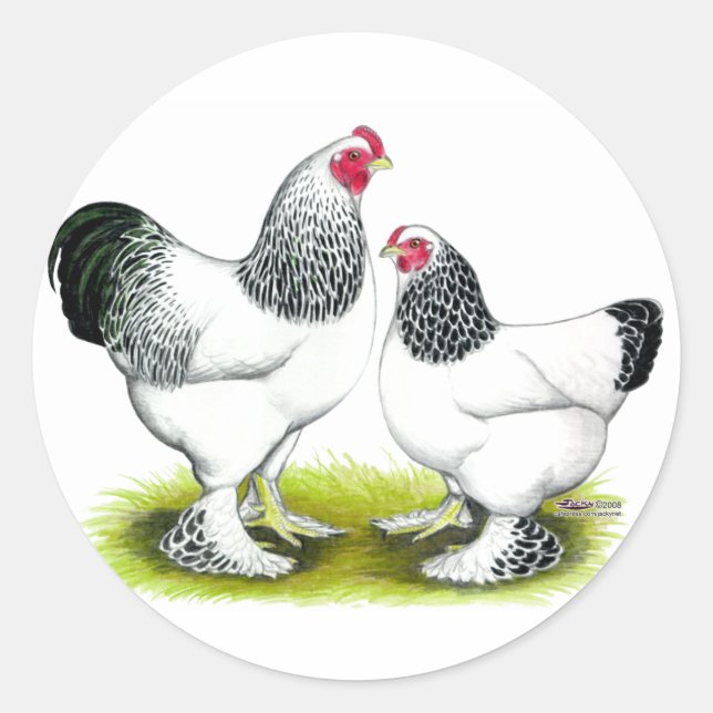 Pegatina Redonda Brahma: Luz (Anverso)