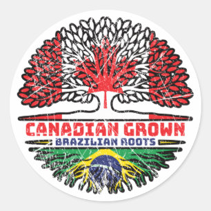 Pegatina Redonda Brasil: Bandera de raíces de árbol canadiense cana