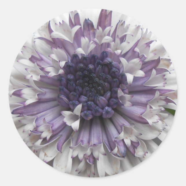 Pegatina Redonda Brett (Anverso)